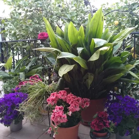 El Patio Andalu * 아르달레스