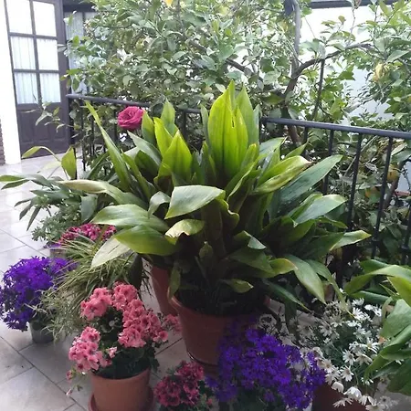 Bed & Breakfast El Patio Andalu Ardales