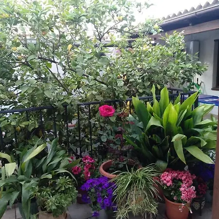 El Patio Andalu *
