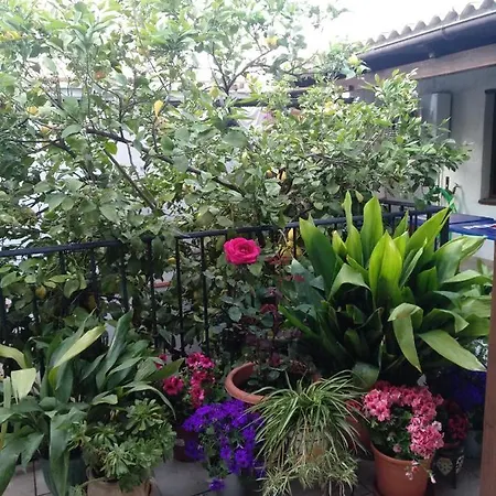 El Patio Andalu *