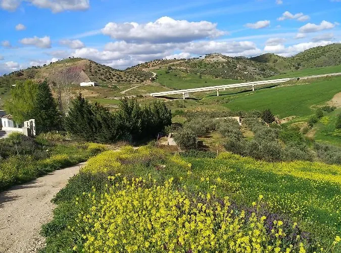 El Patio Andalu فندق مبيت وإفطار