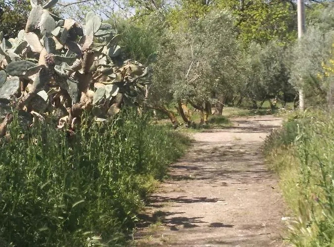 فندق مبيت وإفطار El Patio Andalu أرذاليس