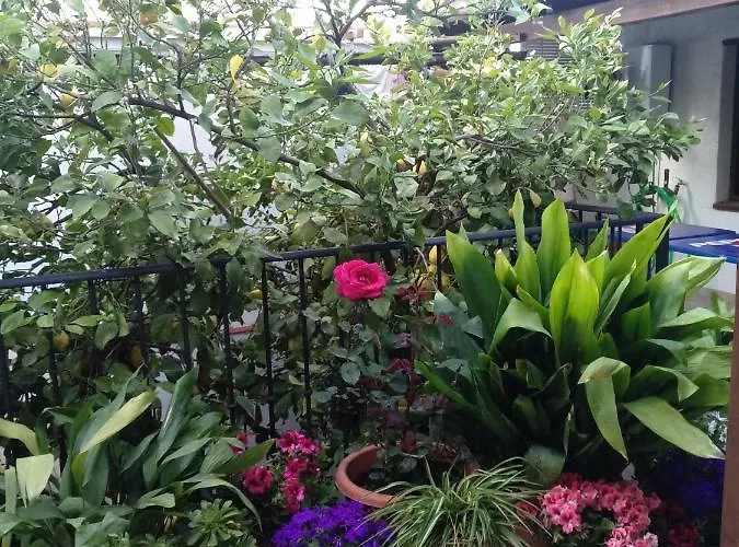 El Patio Andalu *