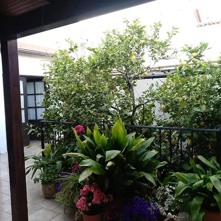 Bed & Breakfast El Patio Andalu Ardales