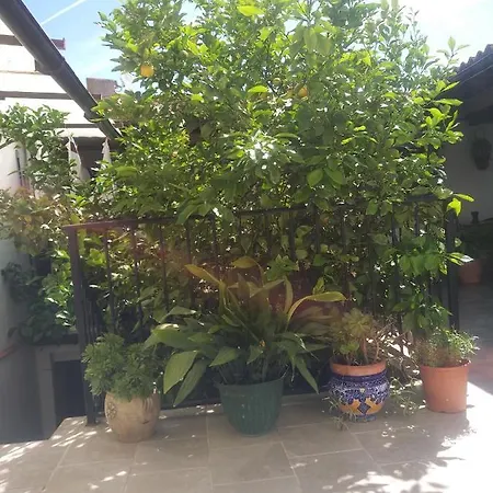 El Patio Andalu Bed & Breakfast